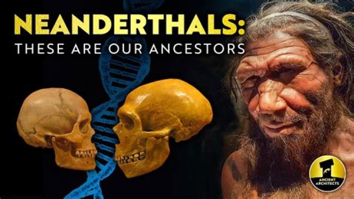 Are the Izila Neanderthals?
