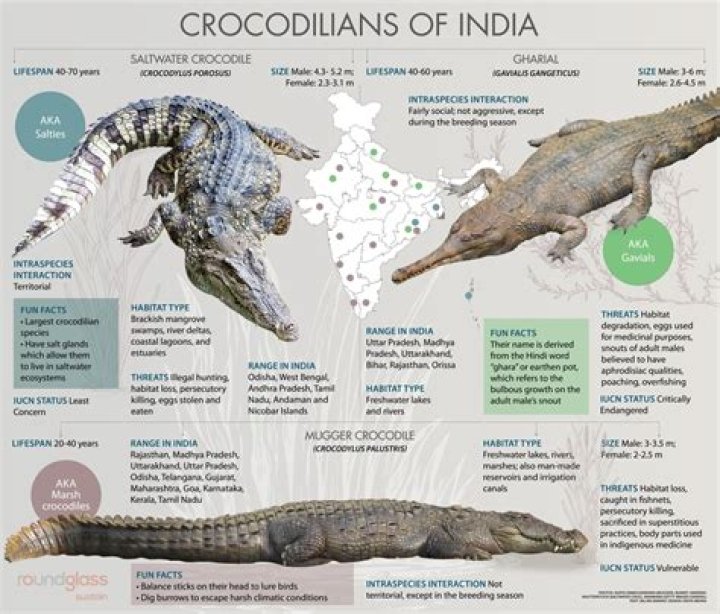 Are there crocodiles in Ghana?