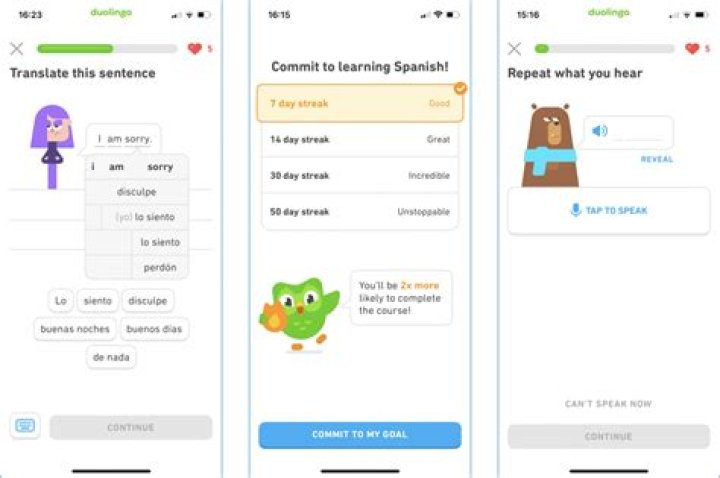 Can I take the duolingo test on my phone?