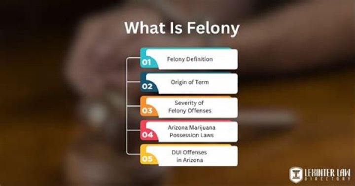 Can you take a felony off your record?