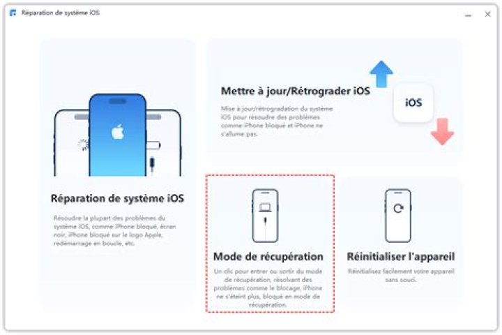 Comment mettre le dictionnaire sur iPhone ?