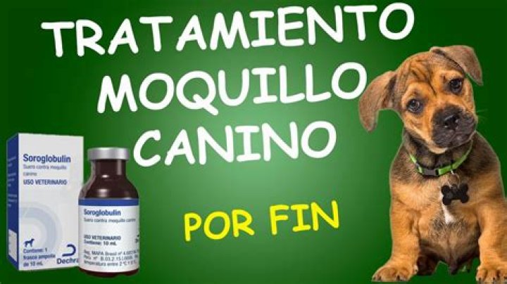 Como usar o apito canino?