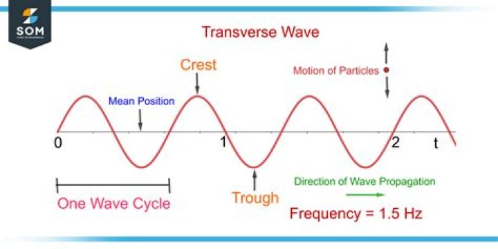 Do transverse waves have frequency?