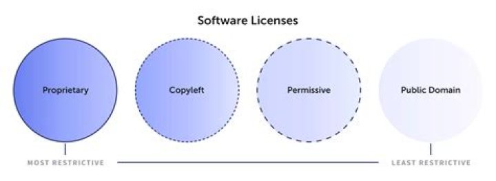 Do you pay use tax on software licenses?