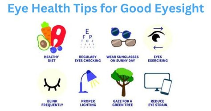 Does a cheetah have good eyesight?