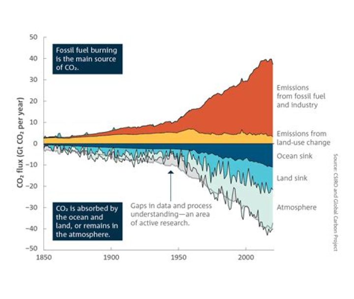 Does carbon dioxide rise or fall in a room?