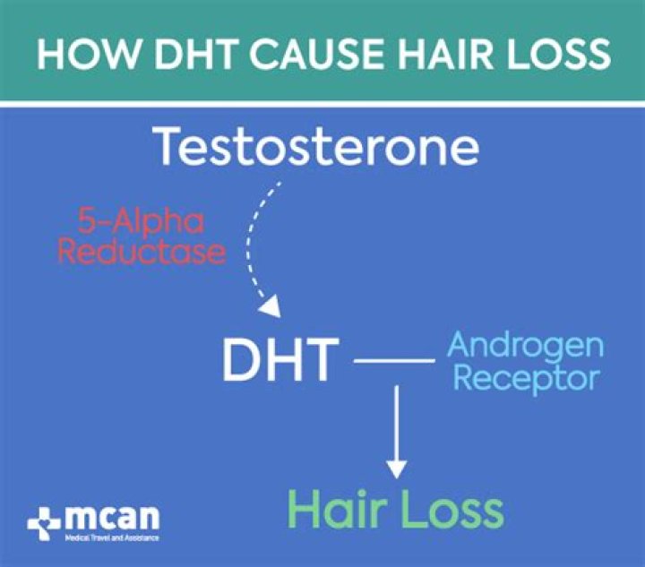 Does DHT cause inflammation?