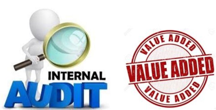 Does internal audit add value?