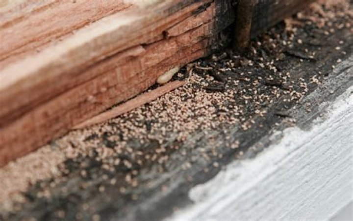 Does the seller or buyer pay for termite inspection?