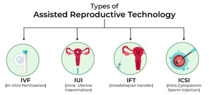 How are assisted reproductive technologies helpful to humans How are ZIFT and GIFT different from intra uterine transfers explain?