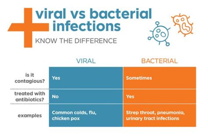 How can you tell the difference between a viral and bacterial infection on a CBC?