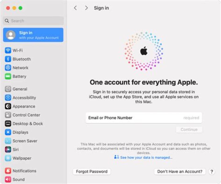 How do I access my Apple email?