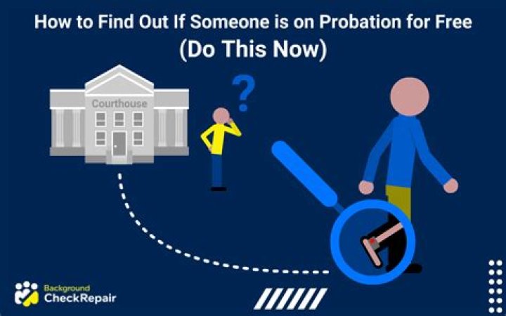 How do I find out if someone is on probation in Texas?
