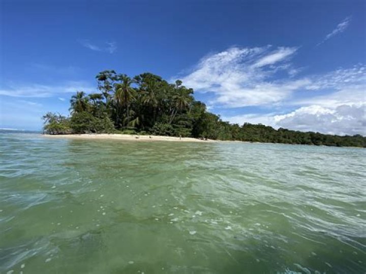 How do I get to Cahuita?