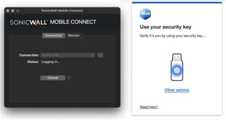 How do I use SonicWall Mobile Connect?