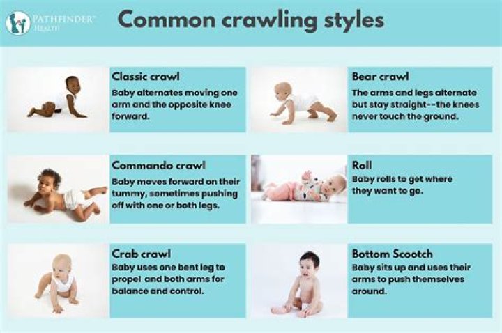 How do you crawl data?