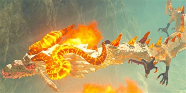 How do you get a fire dragon in Botw?
