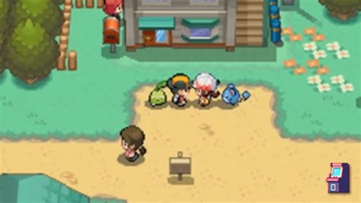 How do you save Pokemon on DS?