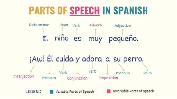 How do you say the word sentence in Spanish?
