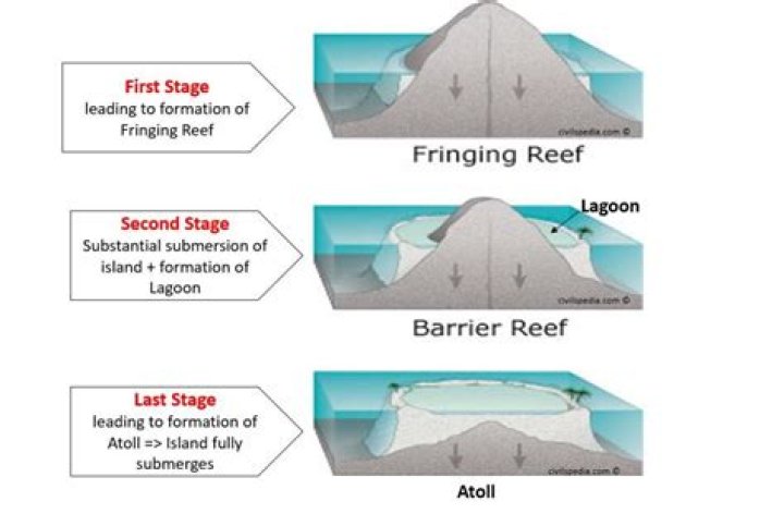 How is a reef formed?