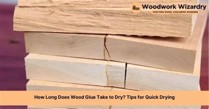How long does it take for PVA wood glue to dry?