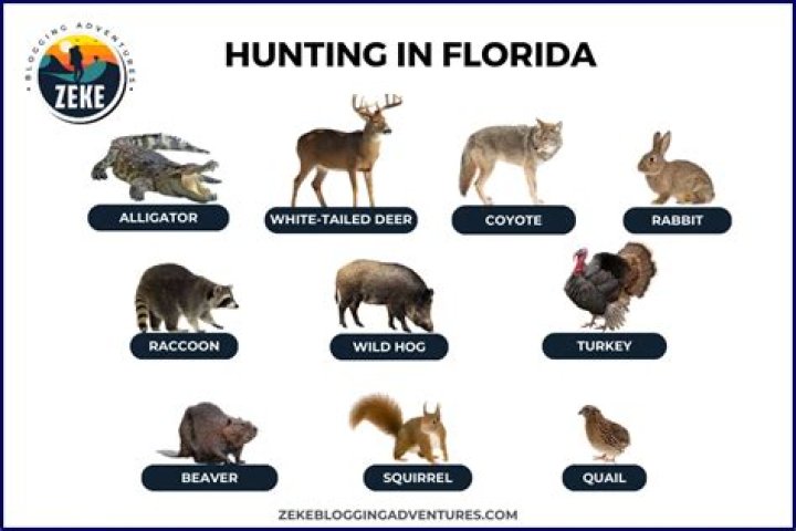 How many acres do you need to hunt in Florida?