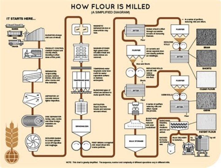 How many grains of flour are in a kilogram?