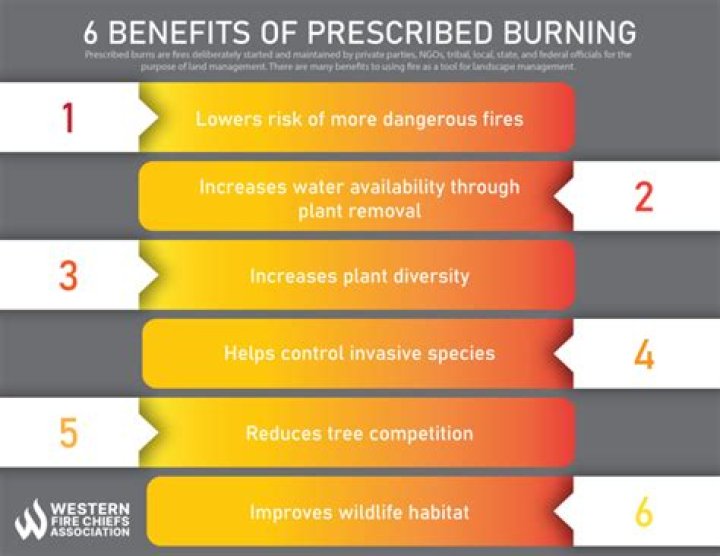 How much does a prescribed burn cost?