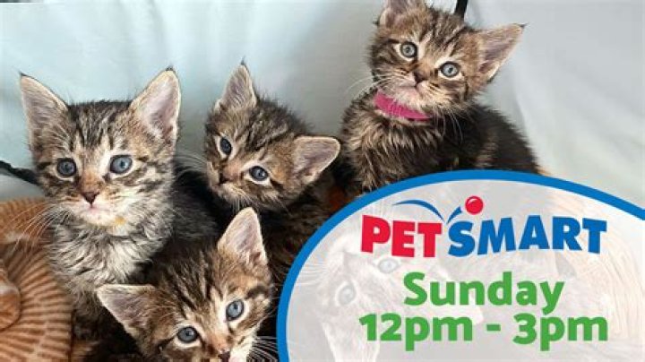 How much does it cost to adopt a dog at PetSmart?