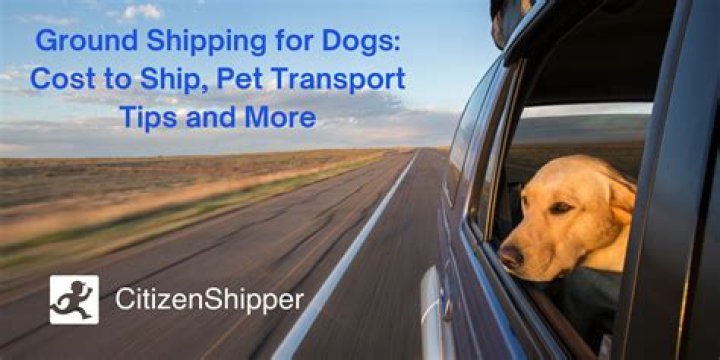 How much does it cost to transport a pet by ground?