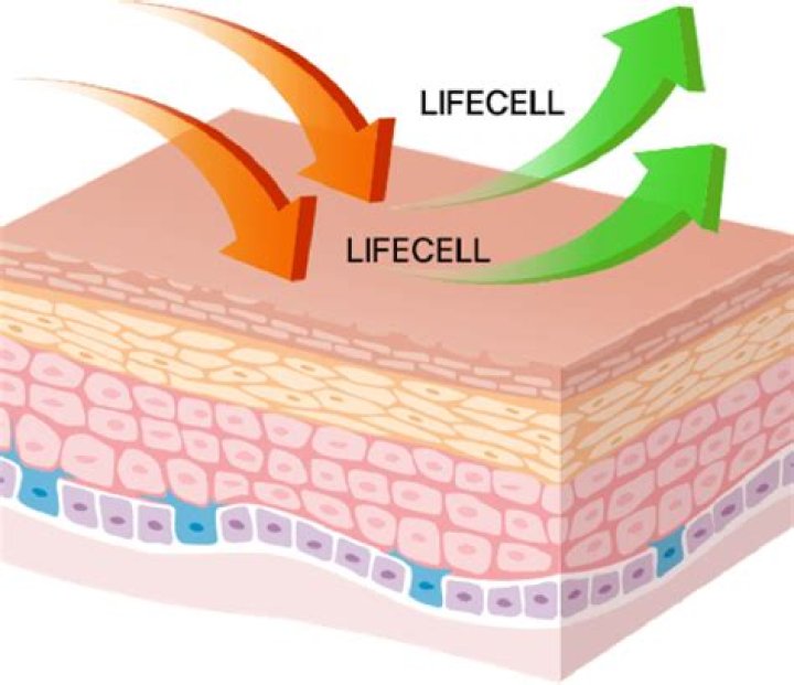 How much is LifeCell after the free trial?