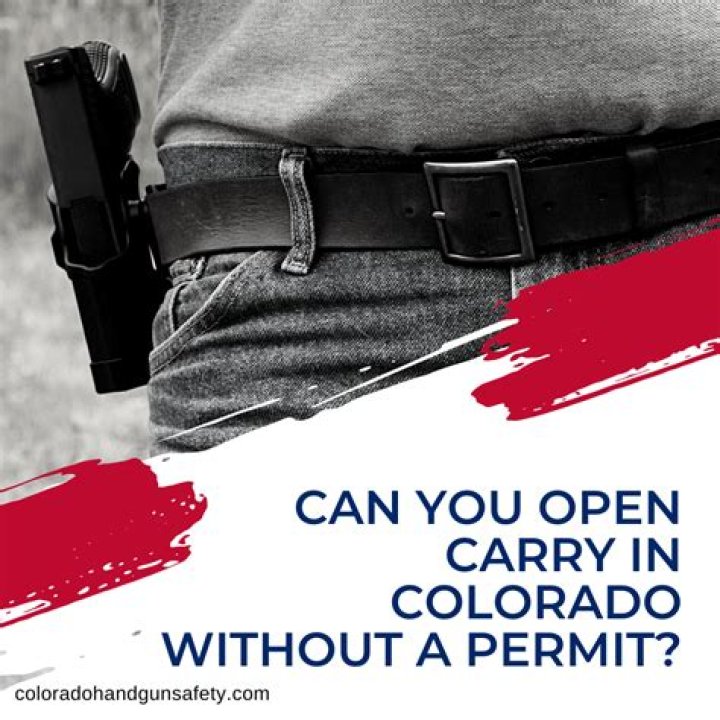 How old do you have to be to open carry in Michigan?