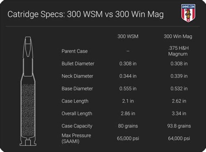 Is a 300 WSM a good long range gun?
