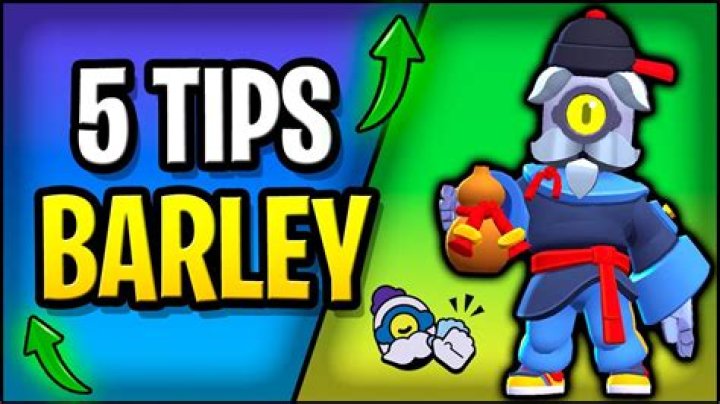 Is barley a good brawler?