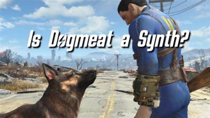 Is dogmeat a synth?