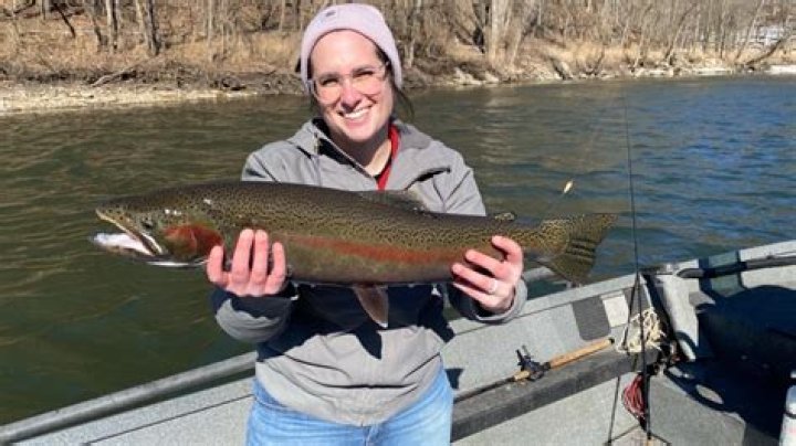 Is fishing season open in New York?