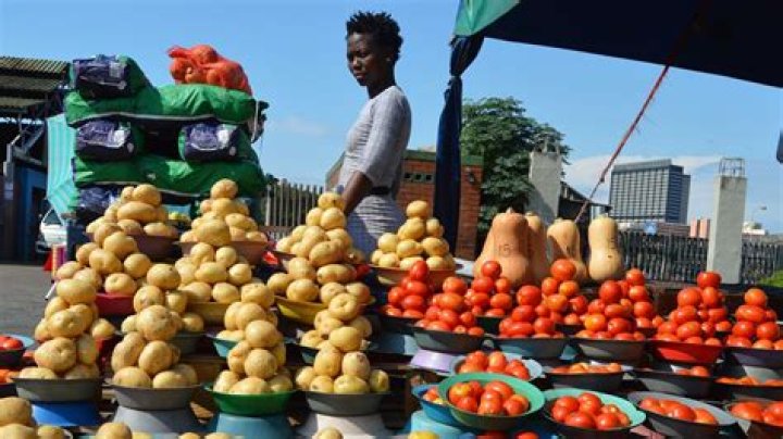 Is the informal sector in South Africa a large or small percentage of the economy?
