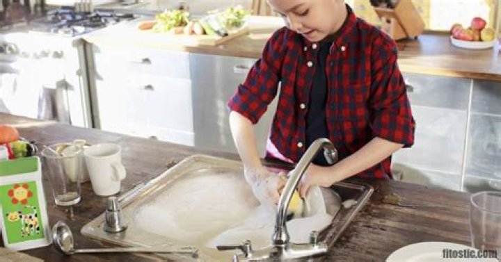 Quel insecte vit 24h ?