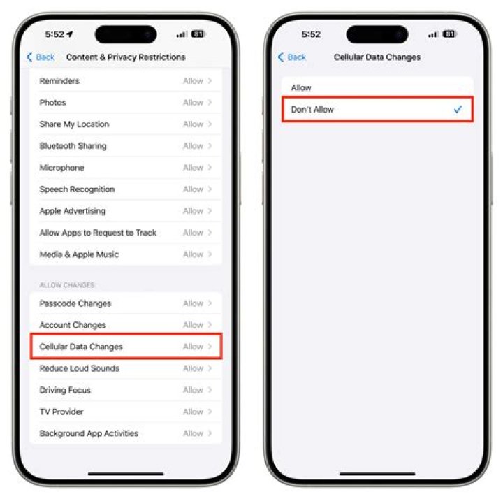 Should I allow apps to access cellular data?