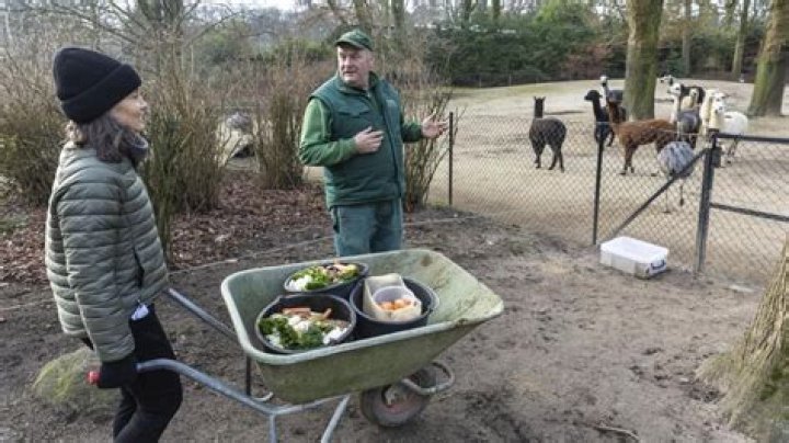 Sind Hunde bei Hagenbeck erlaubt?