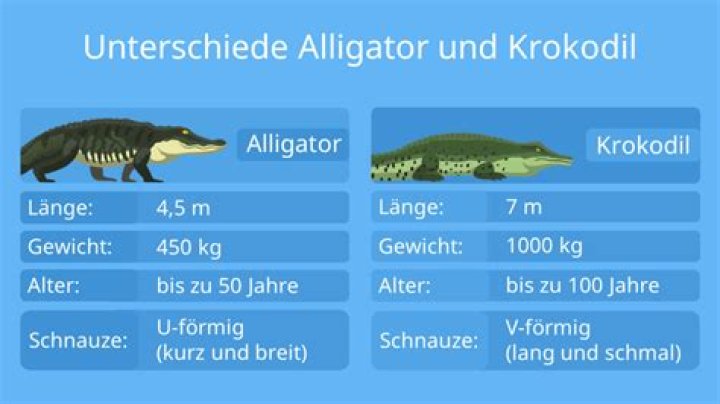 Was ist der Unterschied zwischen Sky Go und Sky Go Plus?