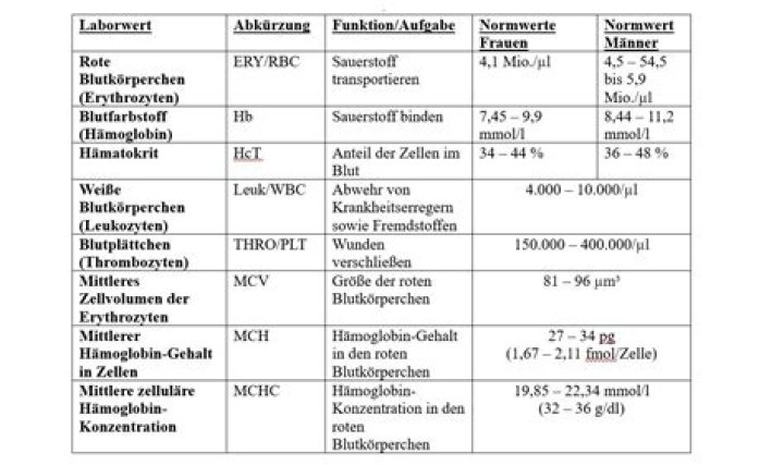 Welche CTG Werte sind normal?