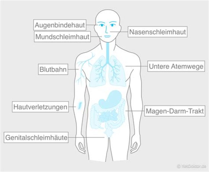 Welche Krankheiten kann man im MRT erkennen?