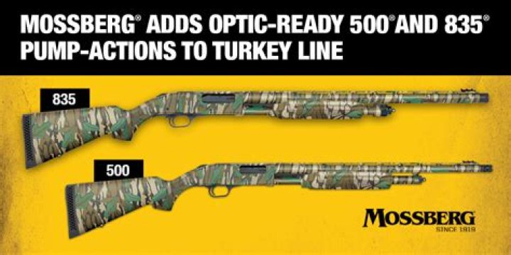 What's the difference between a Mossberg 500 and 535?