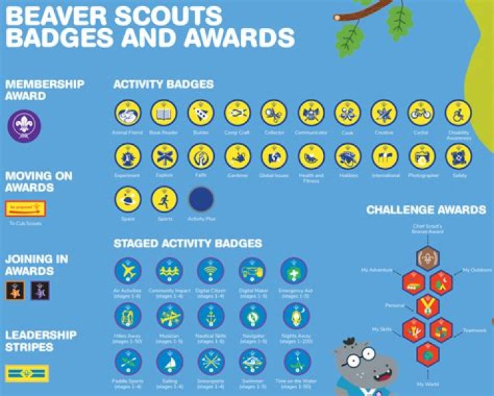 What are Beaver Scouts called in France?