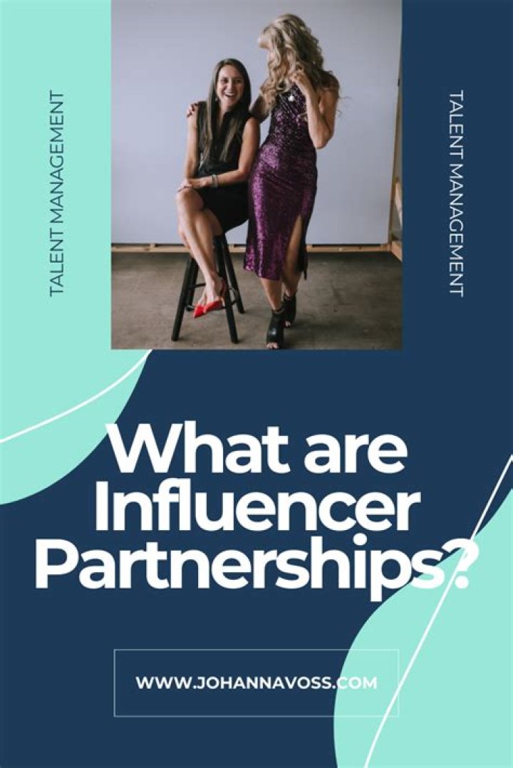 What are influencer partnerships?