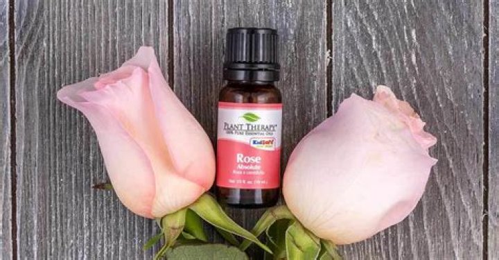 What are the benefits of rose absolute essential oil?