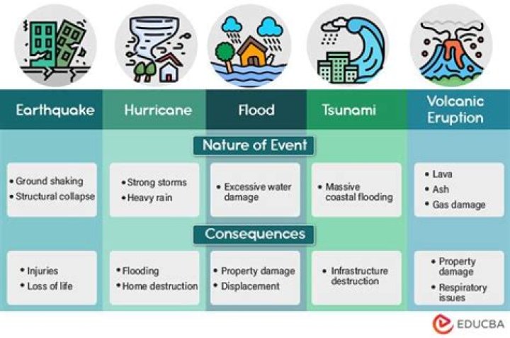 What are the causes and consequences of disaster?