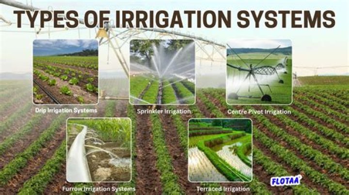 What are the sources of irrigation Class 7?