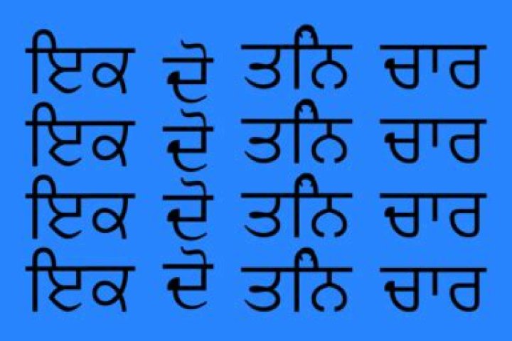 What does Darbar mean in Punjabi?